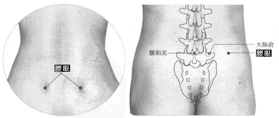 腰眼的证治纲要与定位图解