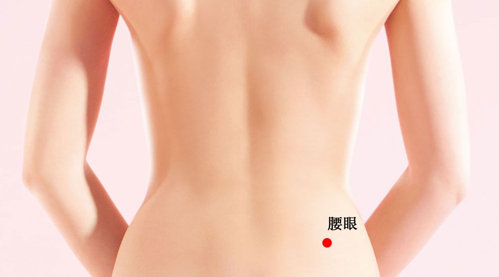 腰眼的证治纲要与定位图解