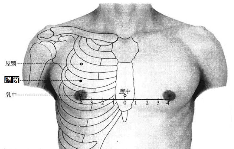 膺窗的证治纲要与定位图解