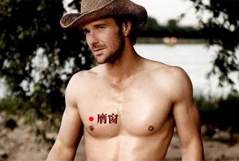 膺窗的证治纲要与定位图解