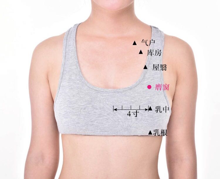 膺窗的证治纲要与定位图解