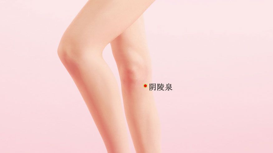 阴陵泉的证治纲要与定位图解