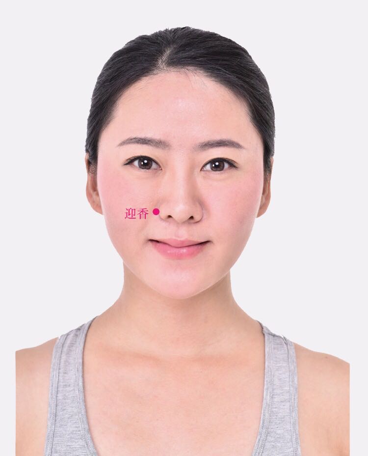 迎香的证治纲要与定位图解