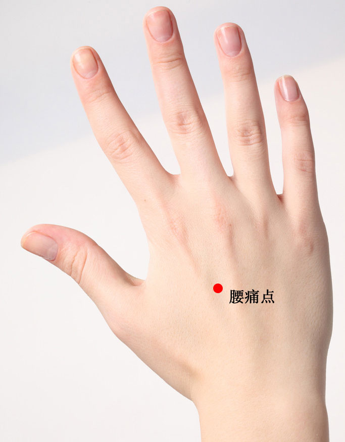 腰痛点的证治纲要与定位图解