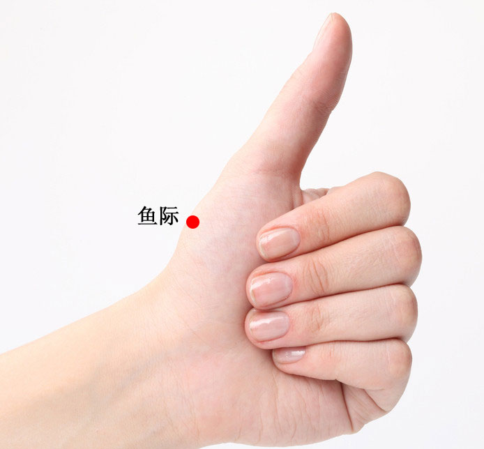 鱼际的证治纲要与定位图解