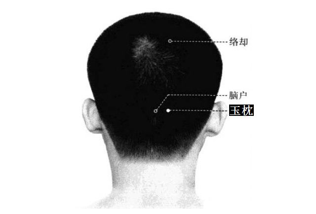玉枕的证治纲要与定位图解