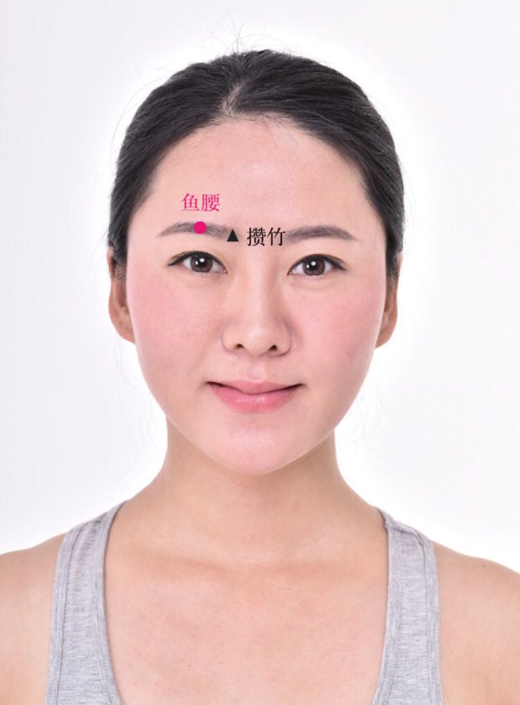 鱼腰的证治纲要与定位图解