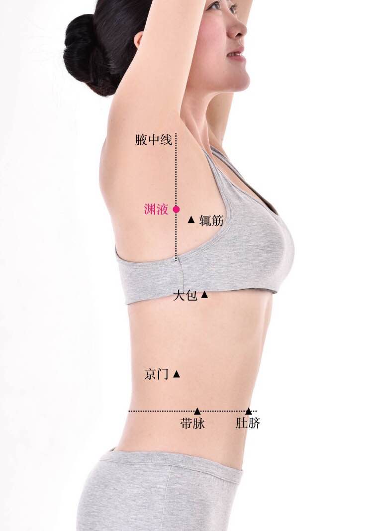 渊腋的证治纲要与定位图解