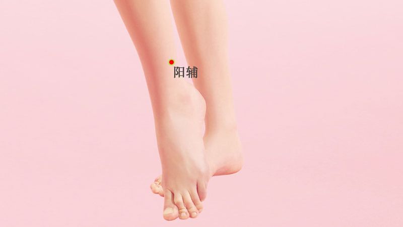 阳辅的证治纲要与定位图解