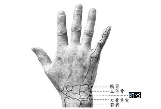 阳谷的证治纲要与定位图解