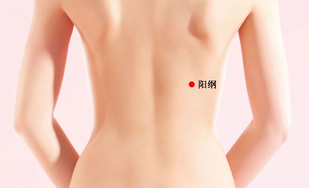 阳纲的证治纲要与定位图解