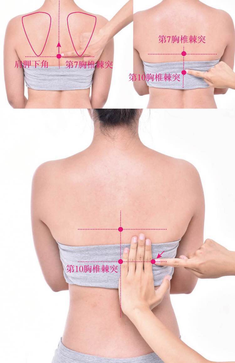 阳纲的证治纲要与定位图解