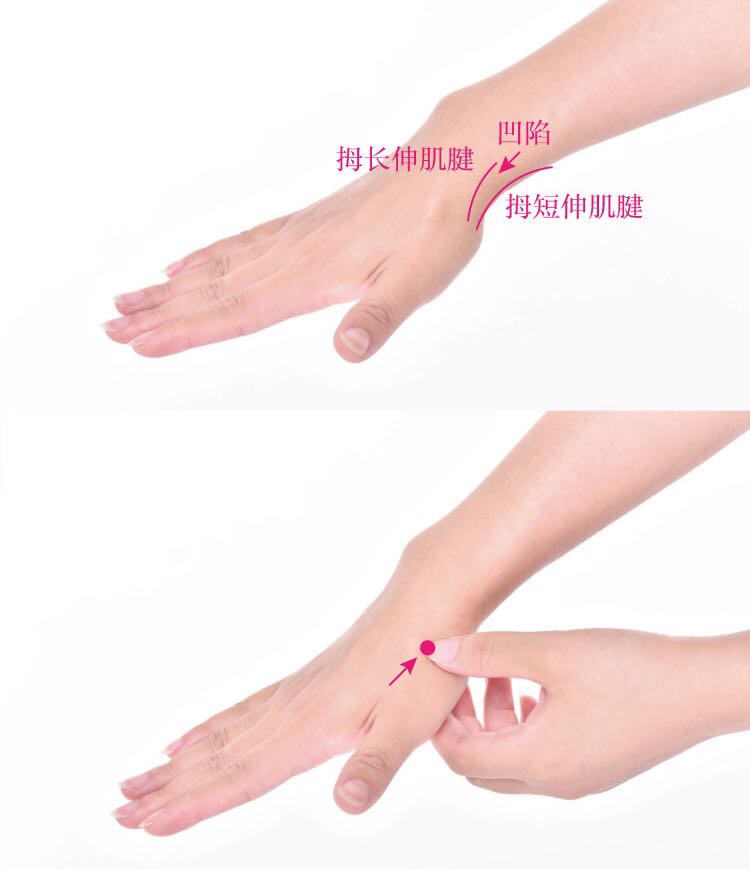 阳溪的证治纲要与定位图解